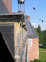 Saint-Fargeau, Chateau, Toits (105)